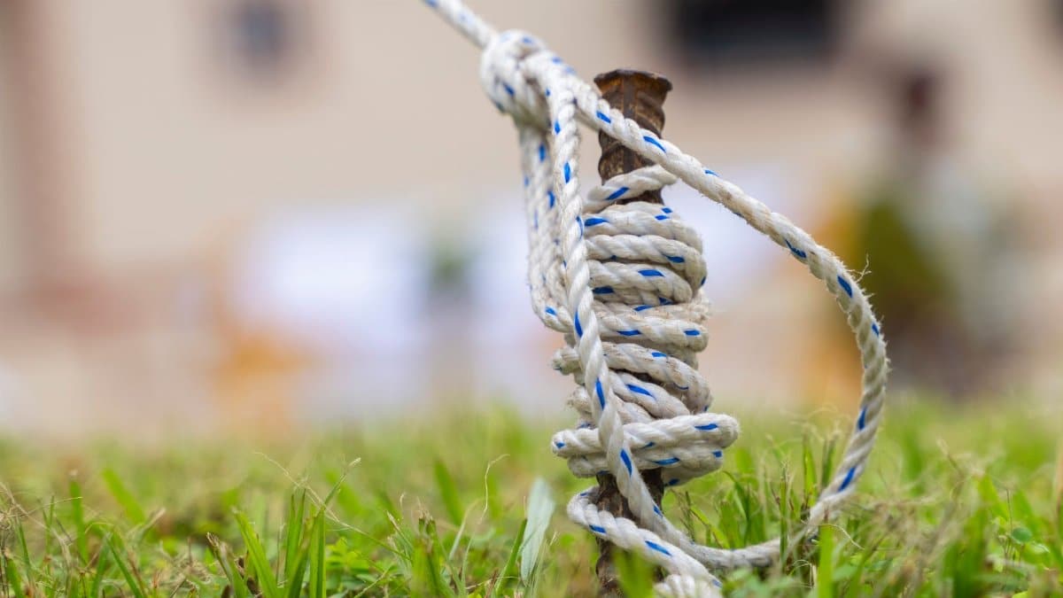 A detailed shot of a rope tightly wrapped around a stake in a grassy field, symbolizing stability and security.