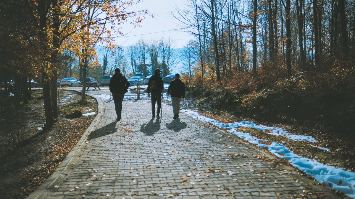 Three people walk on a leafy autumn forest path, with dappled sunlight and fallen leaves.