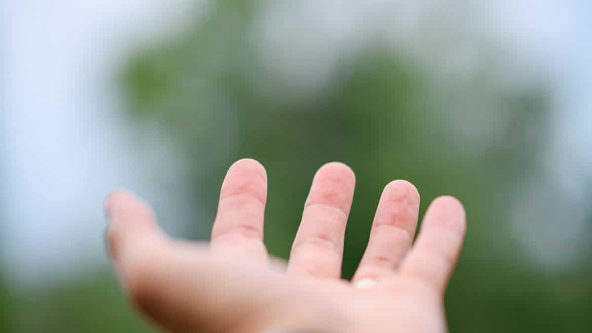 Close-up of an outstretched hand against a soft-focused background of greenery, symbolizing connection.