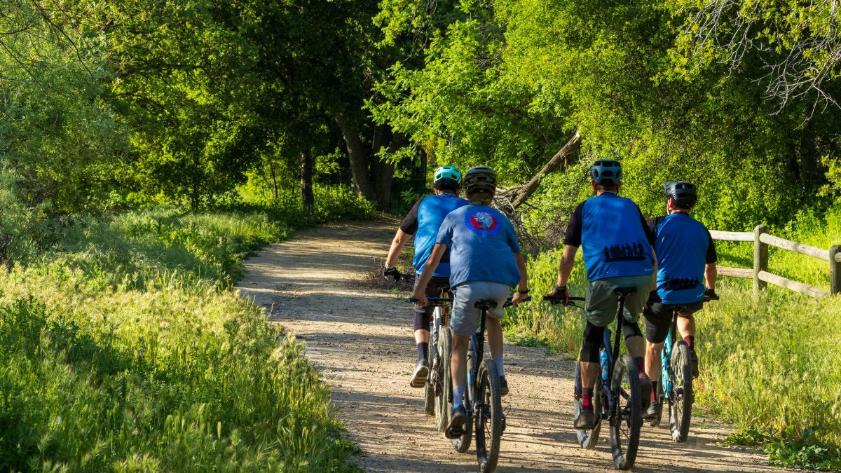 A group of cyclists riding through a lush green outdoor trail in sunlight.