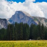 Stunning landscape of Half Dome with evergreen pine forest in Yosemite National Park under blue skies.