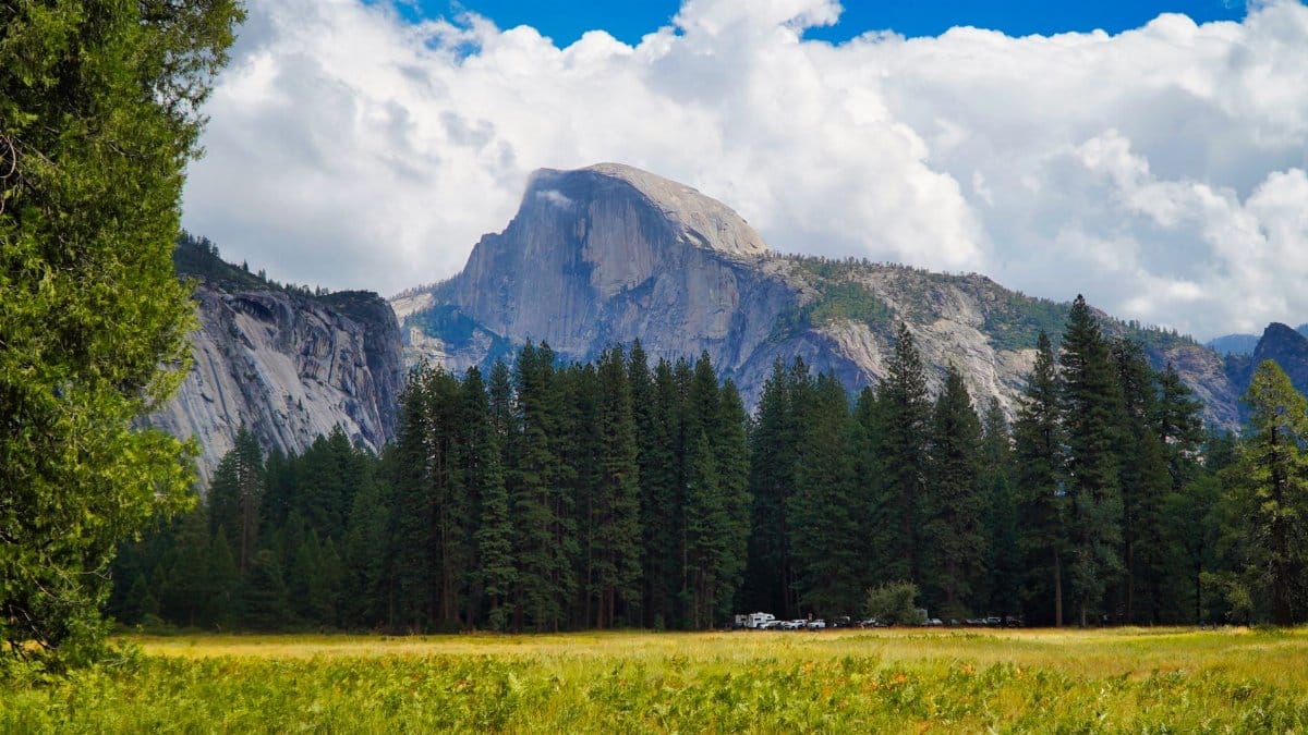 Stunning landscape of Half Dome with evergreen pine forest in Yosemite National Park under blue skies.