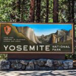 Yosemite National Park entrance sign set against a backdrop of towering trees.
