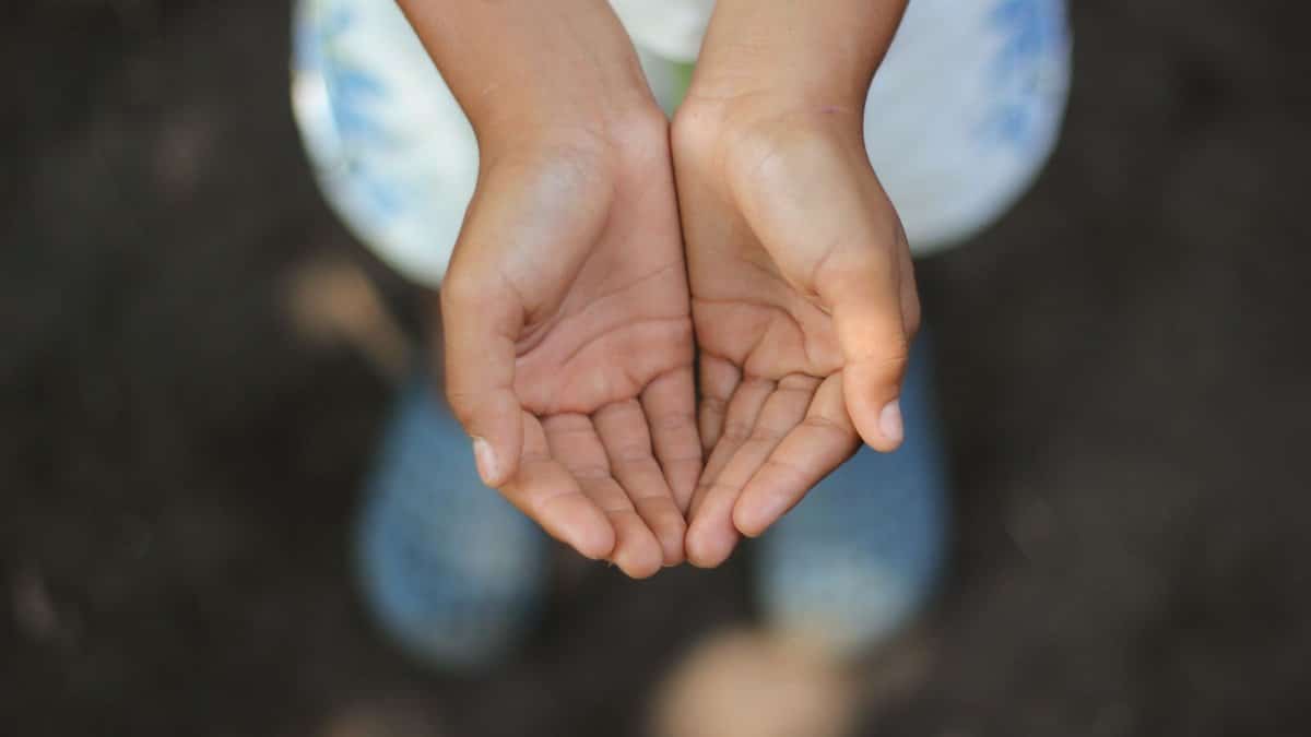 Close-up of a child's open hands, palms up, in soft natural light, conveying innocence and trust.