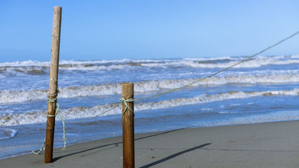 Serene beach setting with wooden posts, rope, and crashing waves under a clear blue sky.