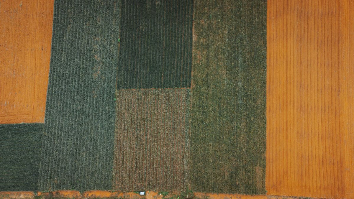 Aerial shot of colorful patchwork farmlands with distinct crop patterns in Vietnam.