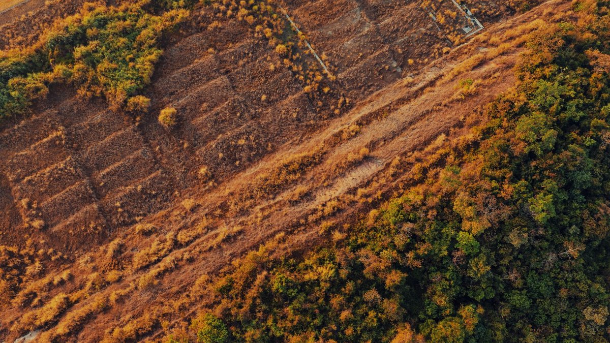 Aerial view of a dry landscape contrasted with lush green forest in Panama, showcasing autumn tones.