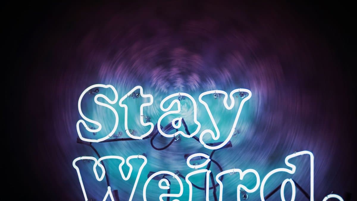 Bright neon sign displaying 'Stay Weird.' against a dark background for an inspiring message.