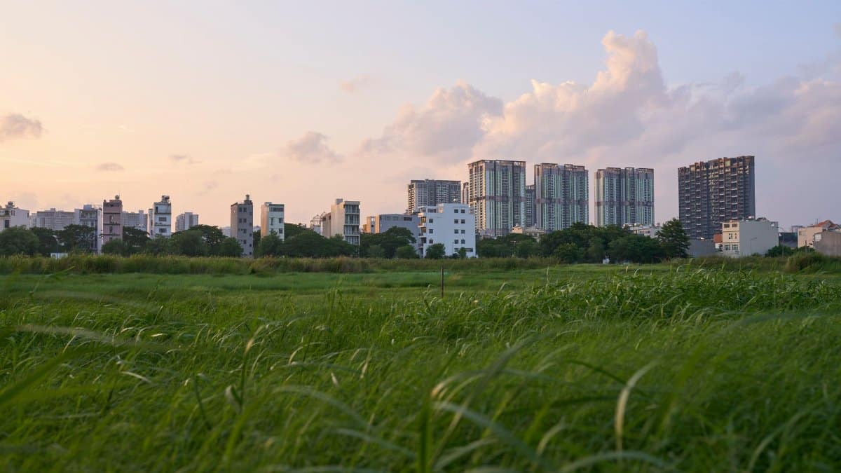 Beautiful view of Ho Chi Minh City's skyline from a grassy field during sunset, showcasing modern architecture and nature.