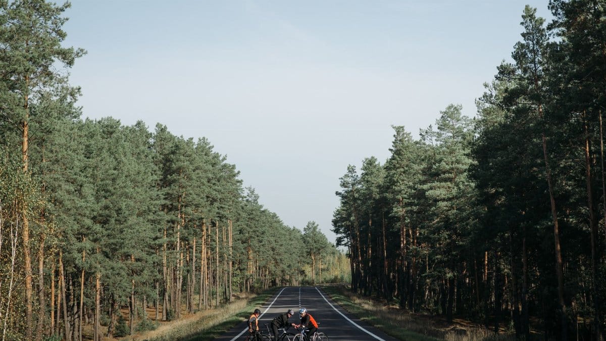 Group of cyclists resting on a quiet road in a forested countryside area.