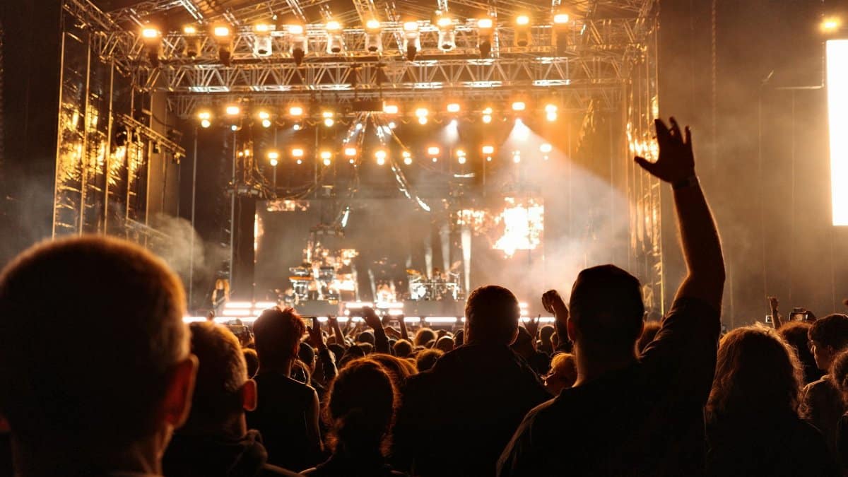 Energetic night concert with a cheering crowd and bright stage lights creating an electrifying atmosphere.