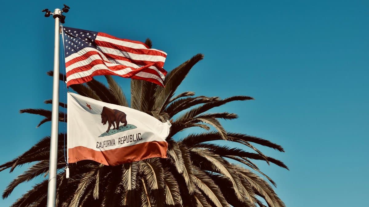 American and California flags waving against a palm tree backdrop in sunny Monterey, CA.