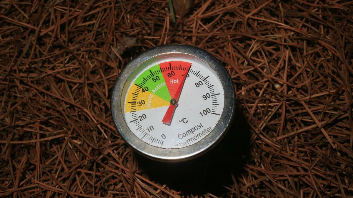 Close-up of a compost thermometer in soil, temperature in active range.