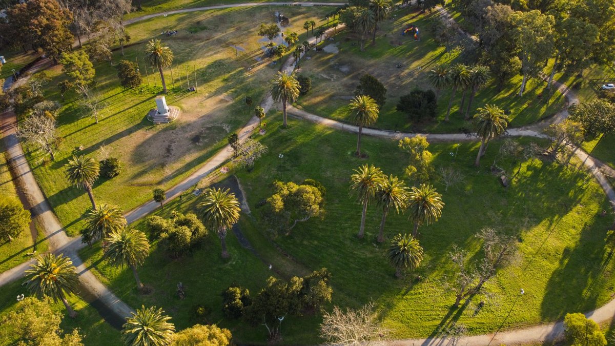A stunning aerial view of a vibrant park with palm trees in Buenos Aires.