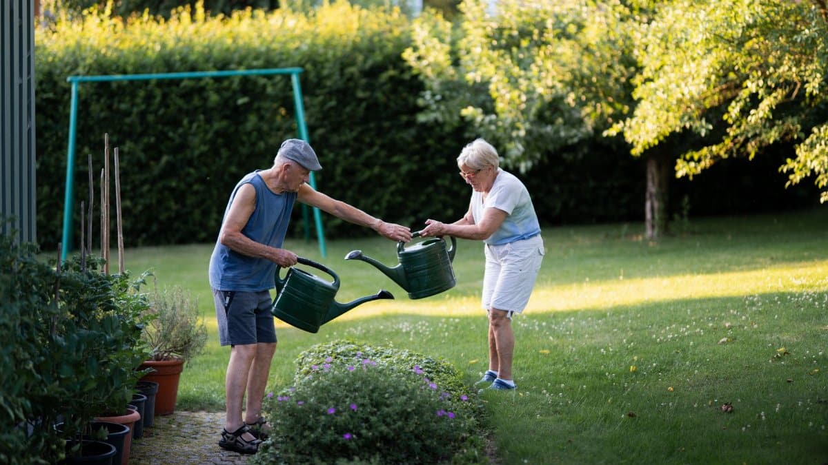 Elderly couple enjoying gardening and watering plants on a sunny day.
