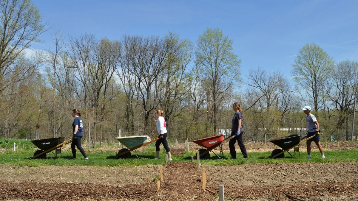A group of volunteers collaborates on a garden project in Bloomington, Indiana, during a sunny spring day.
