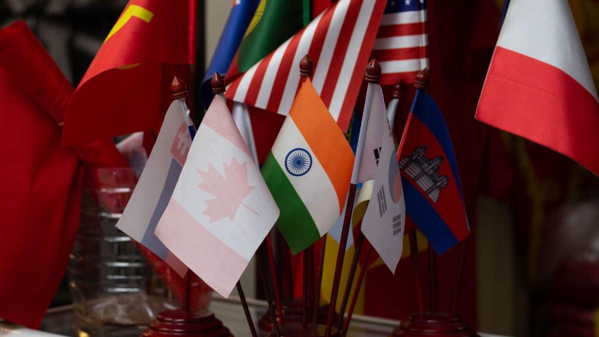 Colorful display of multiple national flags on stands, showcasing international diversity.