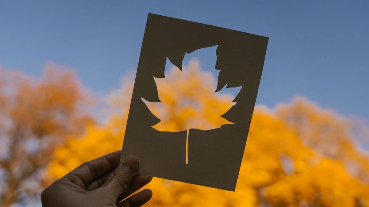 Crop faceless person showing paper sheet with cut out maple leaf against trees with yellow foliage growing in park under cloudless blue sky