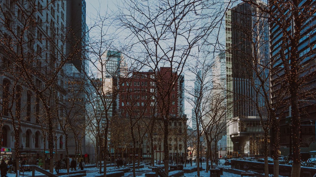 Discover the magic of a winter evening in downtown New York City with twinkling lights.