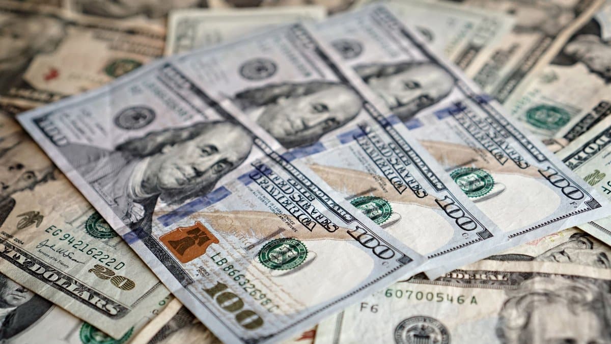 Detailed close-up of various denominations of US dollar bills, emphasizing currency and finance.