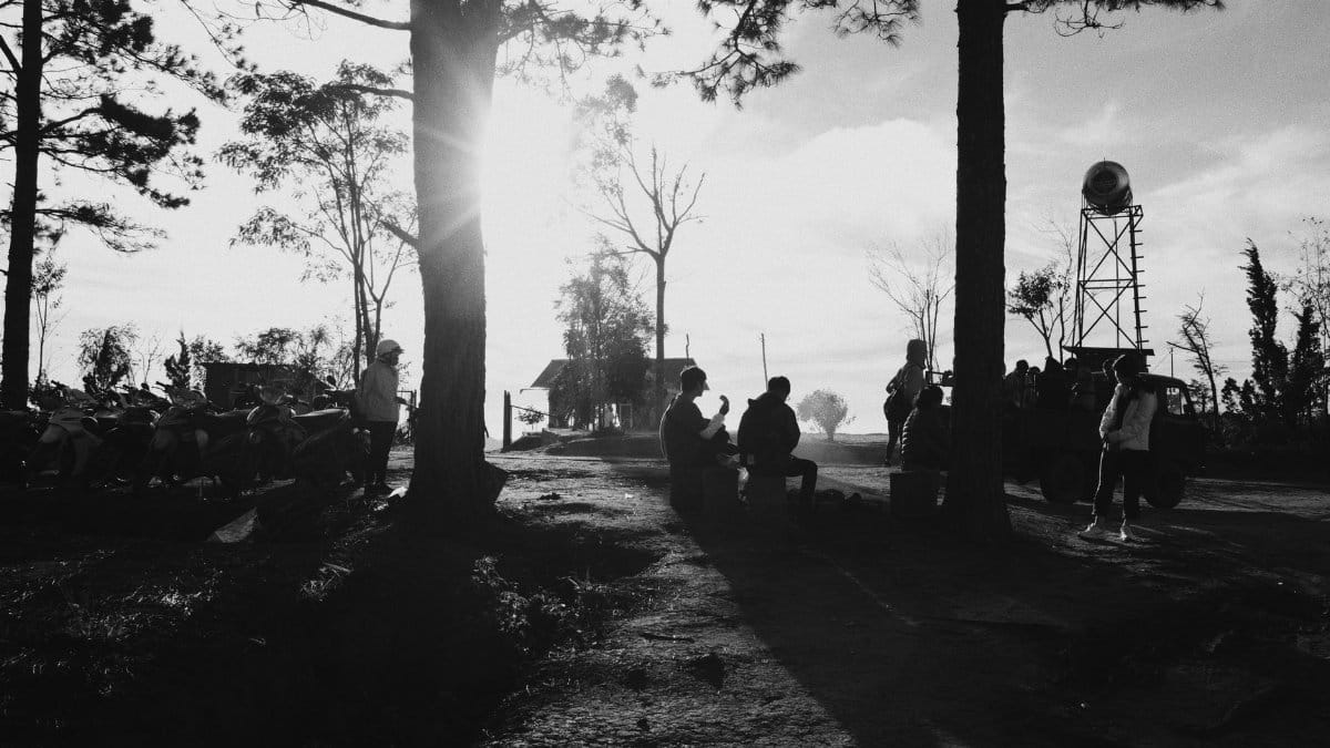 Black and white of anonymous travelers wearing casual outfits pastime together in park near trees