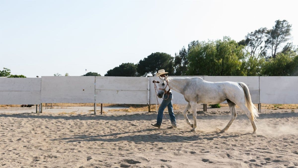 A man in cowboy hat leading a white horse in a sandy outdoor arena on a sunny day.