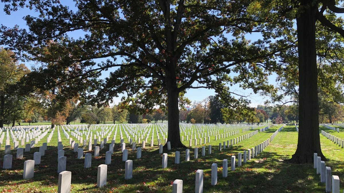Rows of gravestones at Arlington National Cemetery, surrounded by trees.