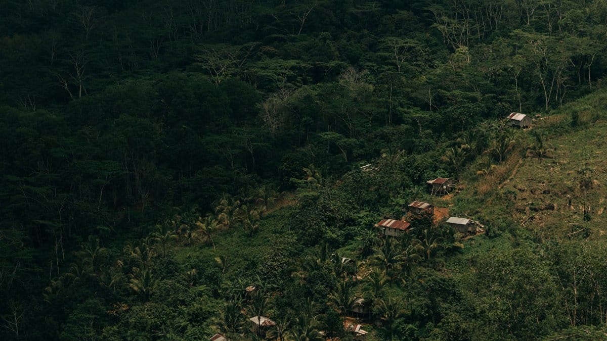 Aerial view of lush green forest landscape with rural dwellings in the Philippines.