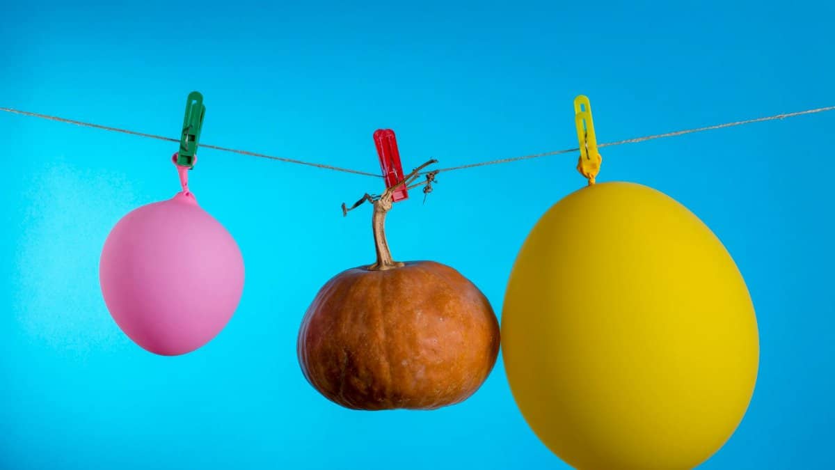 A vibrant still life of balloons and a pumpkin hanging on a clothesline against a clear blue backdrop.