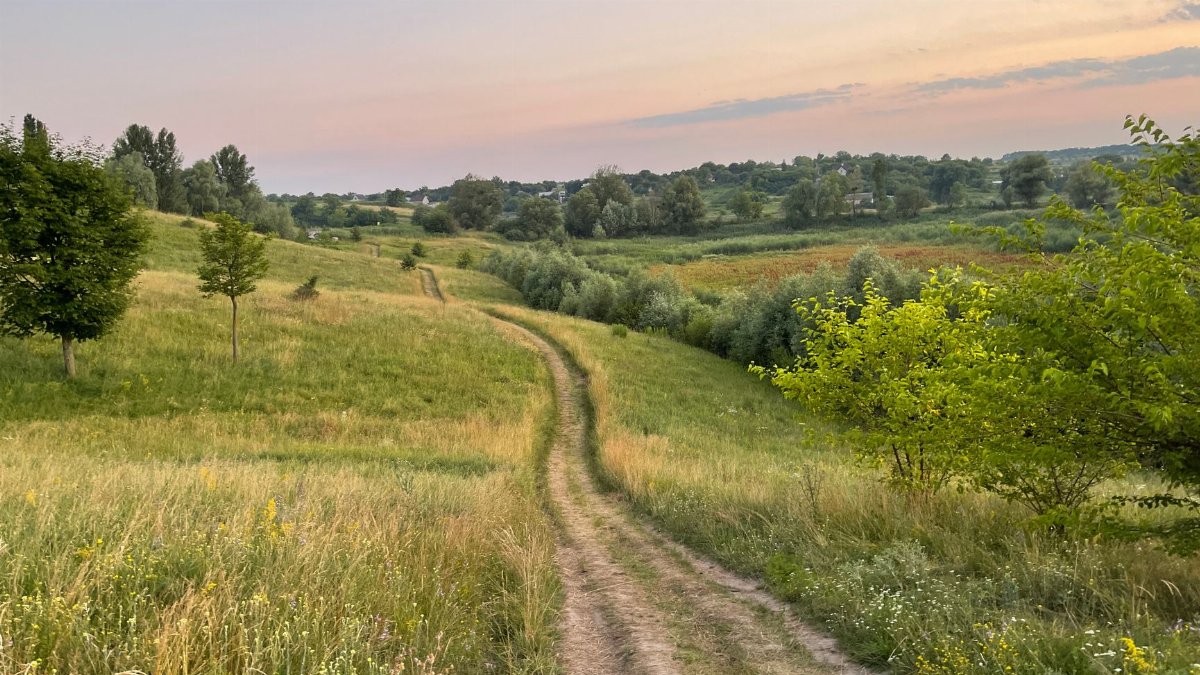 A serene countryside path through lush fields under a pastel sunset sky.