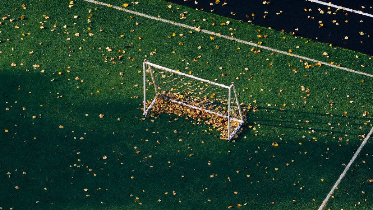 Aerial shot of a soccer goal surrounded by autumn leaves on a green field.
