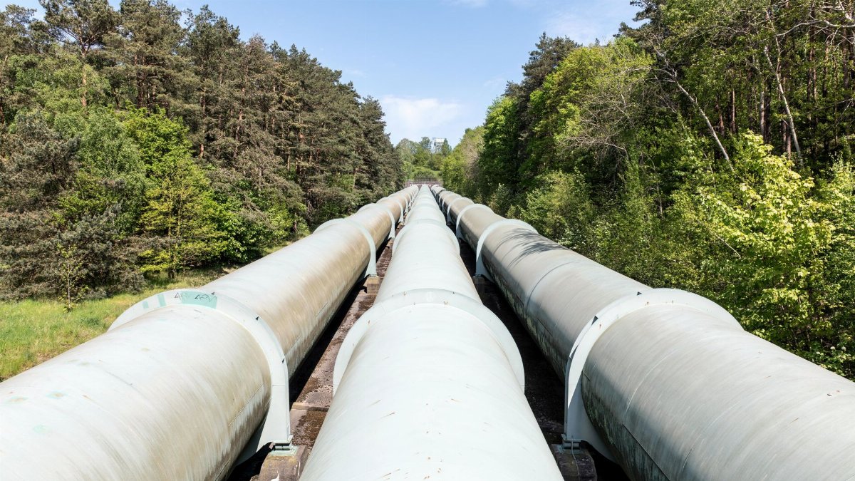 Large industrial pipeline traversing through a green forest in Geesthacht, Germany.