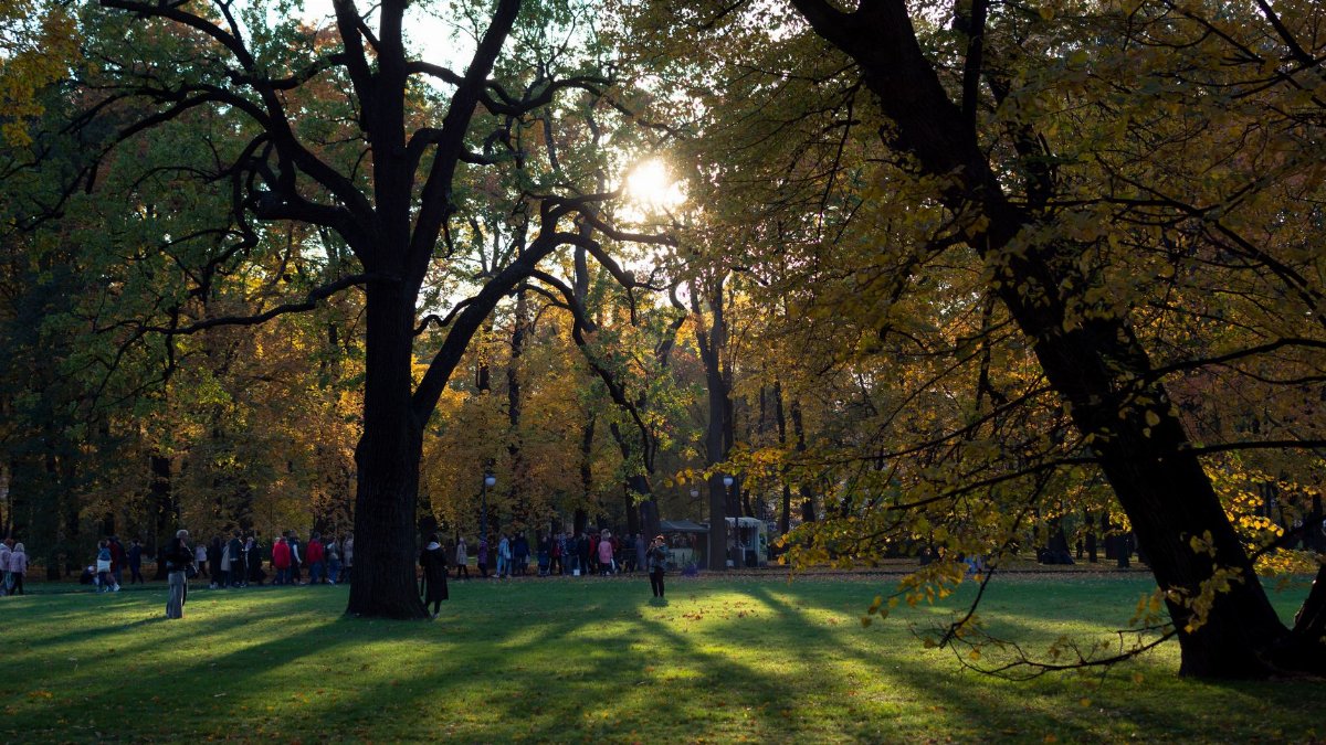 Sunlit autumn park with people walking, casting long shadows among colorful trees.