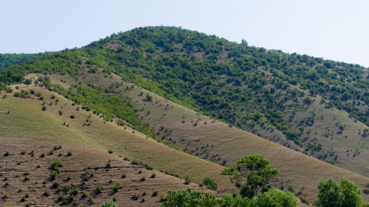 A serene landscape of rolling green hills with sparse vegetation under a clear sky.