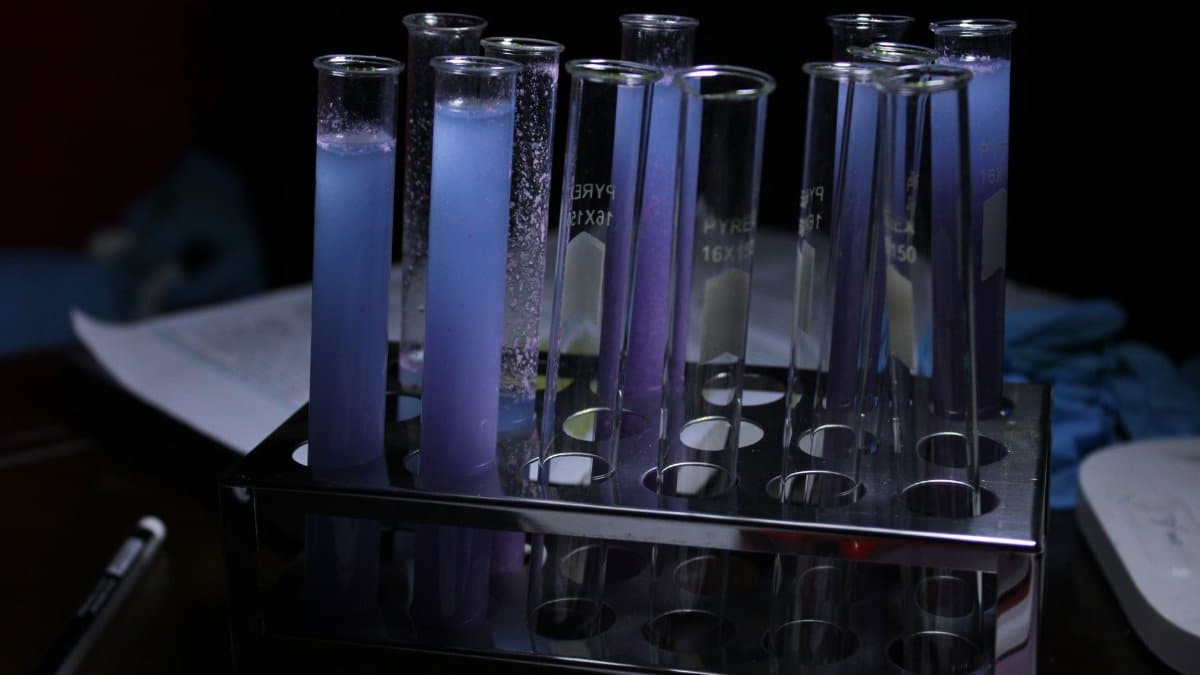 A vivid array of purple solutions in test tubes during a chemical experiment.