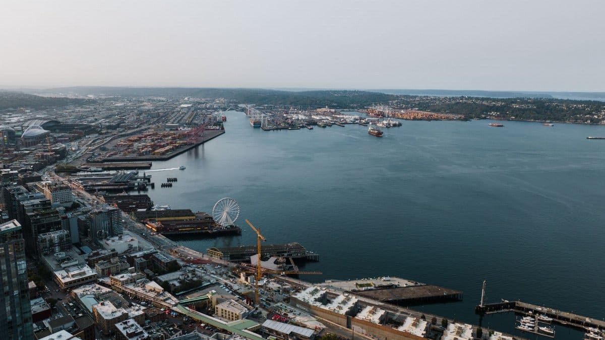 Explore Seattle's bustling waterfront with sweeping views of the port and city skyline.