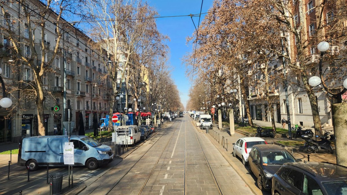Wide boulevard with bare trees and parked cars on a clear day.