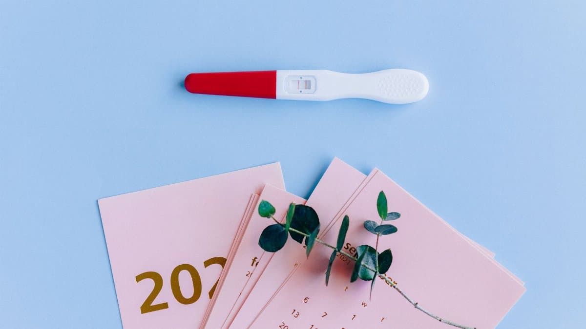 Pregnancy test on pastel flat lay with calendar and eucalyptus branch, symbolizing new beginnings.