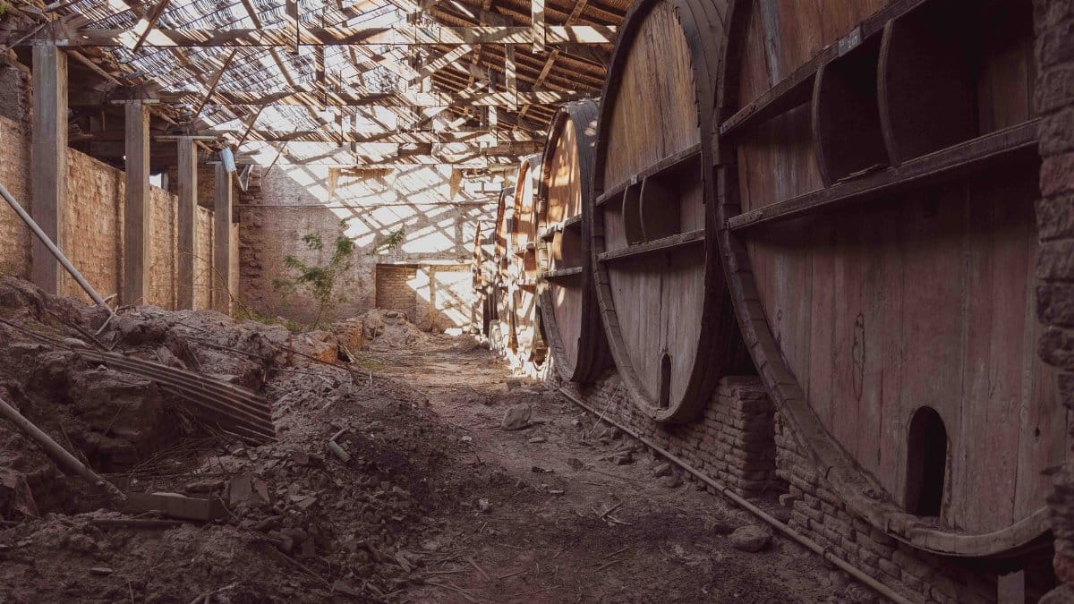 A rustic abandoned wine cellar with large wooden barrels, evoking a sense of history and decay.