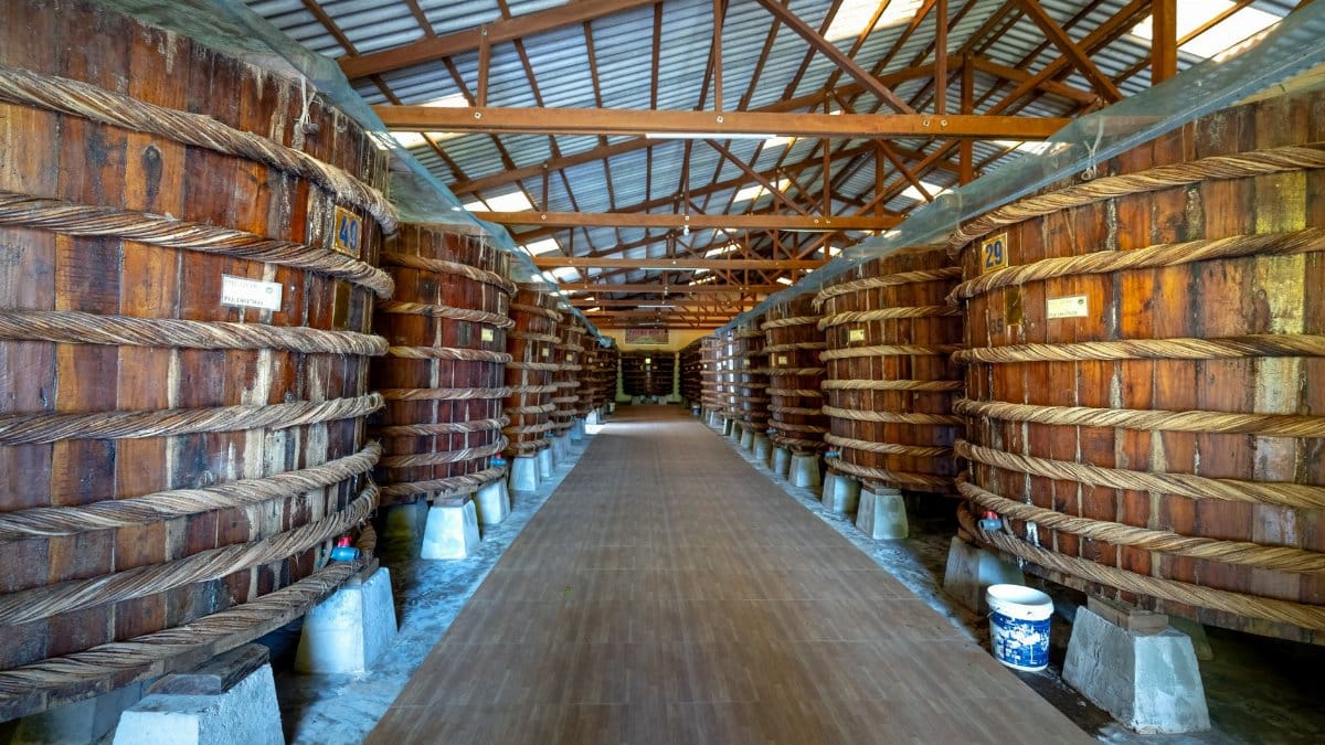 Explore a traditional wooden barrel storage cellar with large containers lined up inside an industrial facility.
