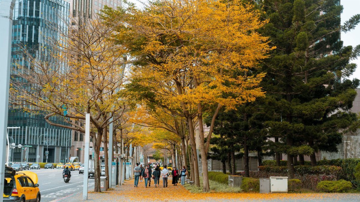 Vibrant autumn street scene in the city with pedestrians and cars.