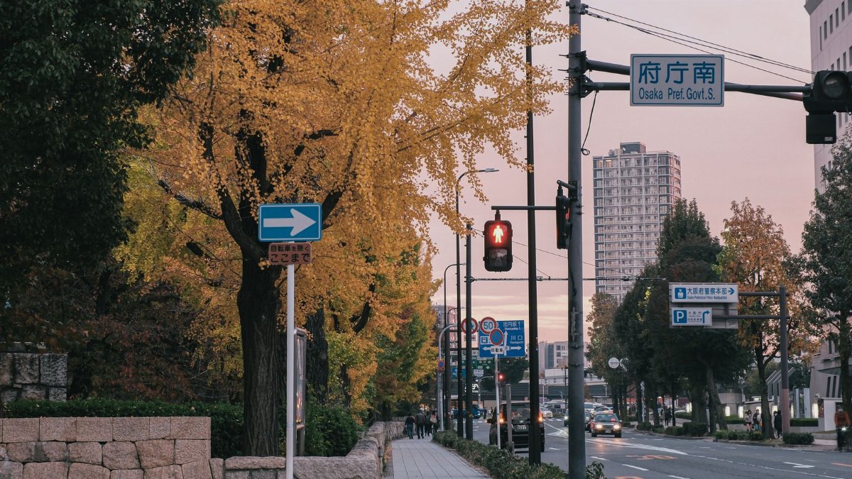 Peaceful autumn street scene in Osaka with golden foliage and city signs during sunset.