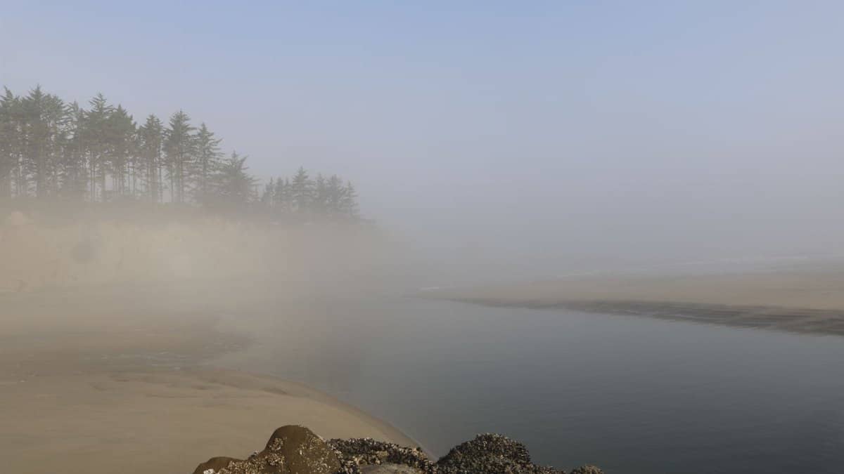 A serene riverbank scene with fog-covered trees under a clear sky.