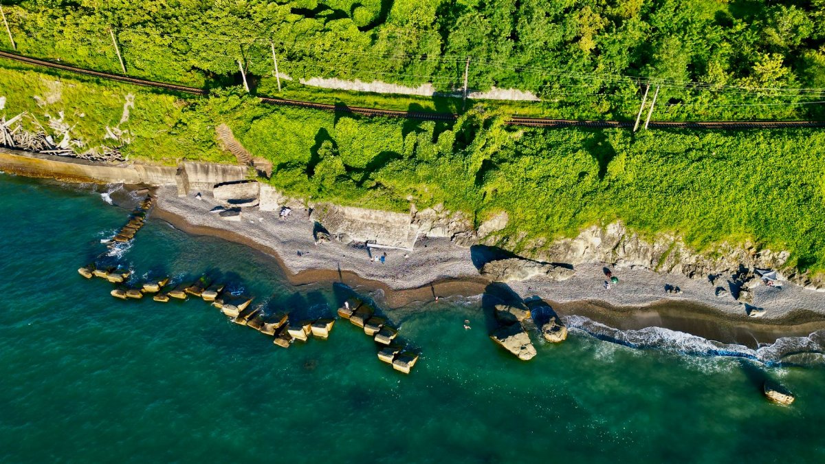 A stunning aerial shot of a lush green coastline in Georgia with train tracks and rocky beach.