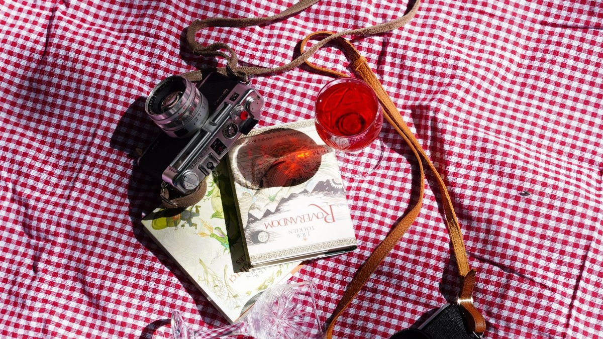 A vintage camera and book rest on a checkered picnic blanket in sunlight.