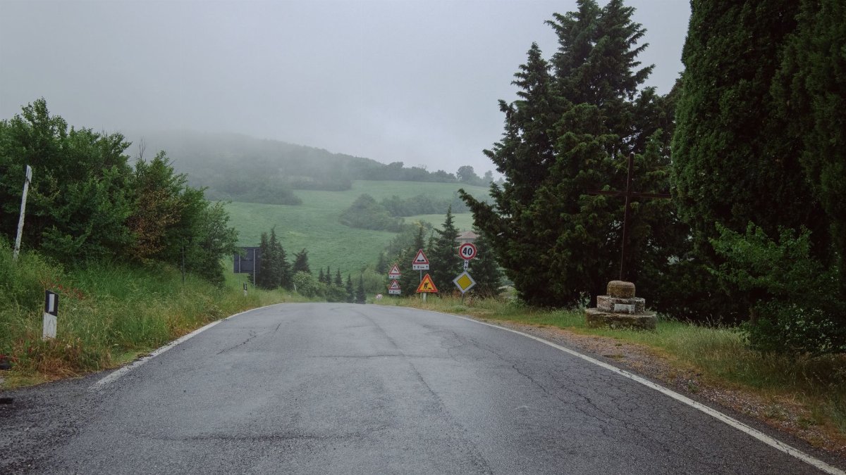 A misty rural road surrounded by green trees and fields, featuring various traffic signs.