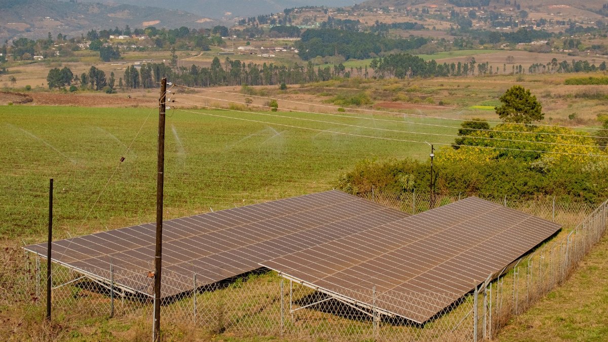 Solar panels on a farm in Manzini, Eswatini, showcasing sustainable energy.
