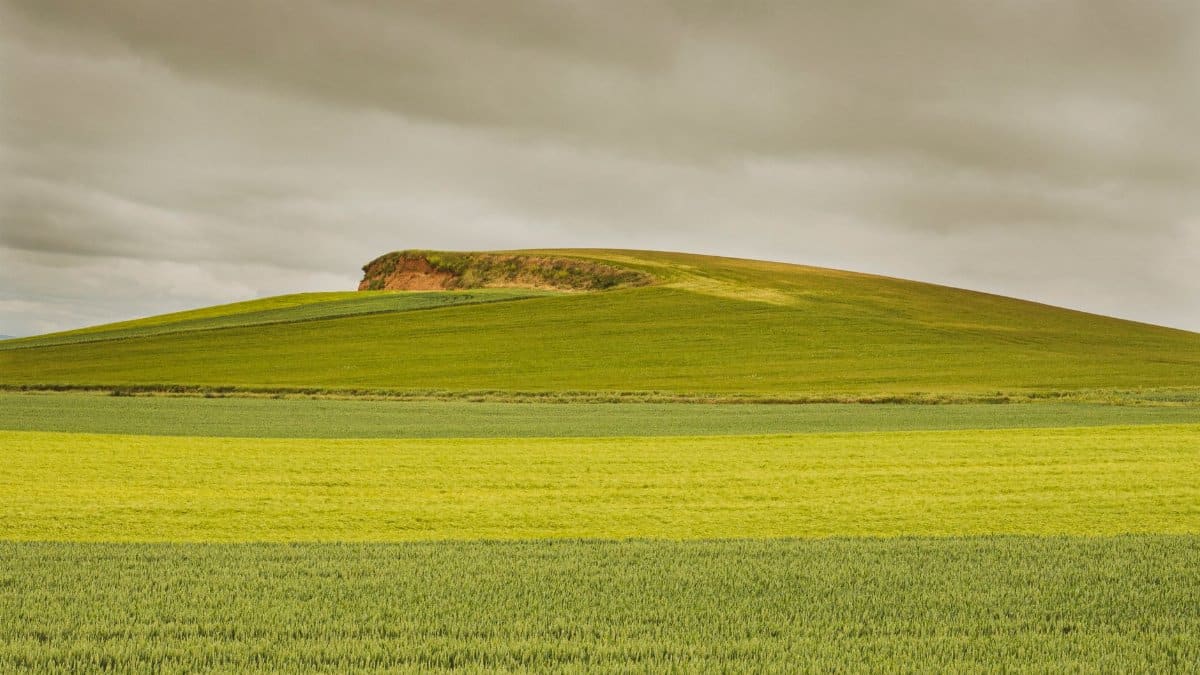 Tranquil rural landscape with lush green fields under a cloudy sky and gentle rolling hills.