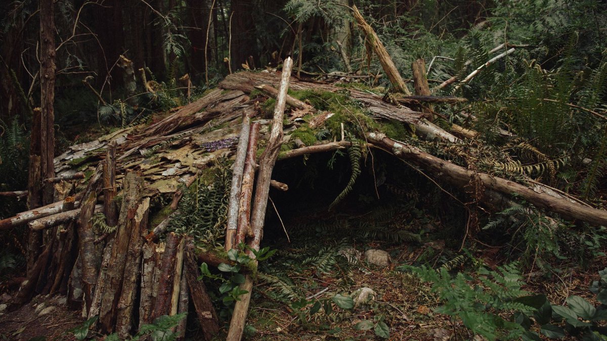 A handmade primitive shelter in the forest, showcasing survival skills and natural construction methods.