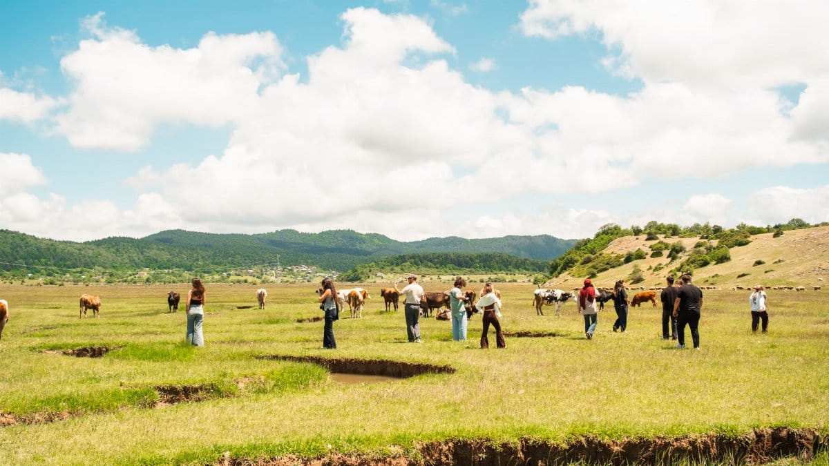 A picturesque summer landscape with cows grazing and people exploring a lush green pasture.
